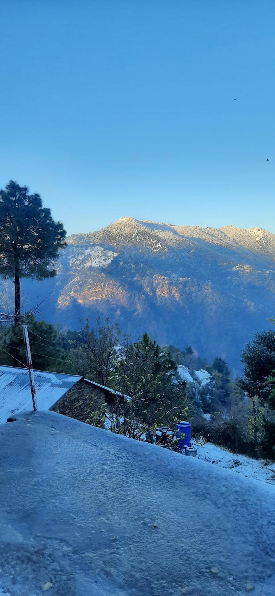 Sejal Homestay Shimla Exterior foto