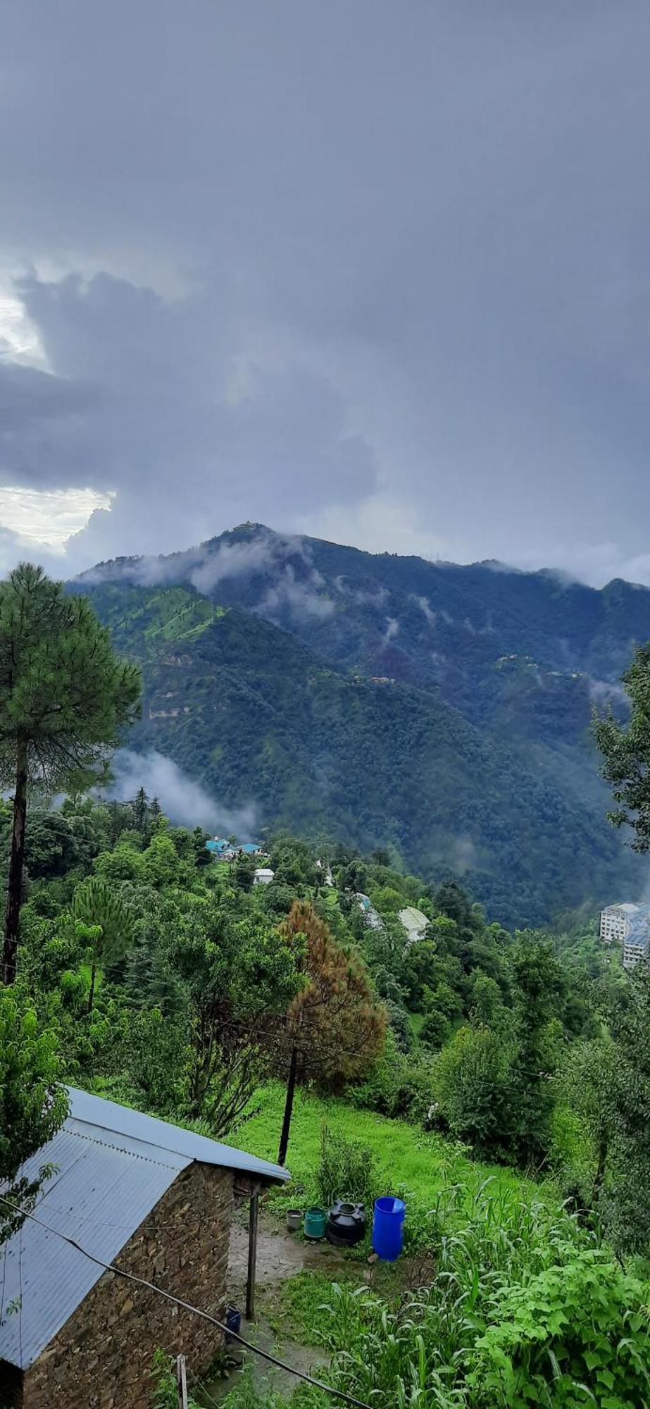 Sejal Homestay Shimla Exterior foto