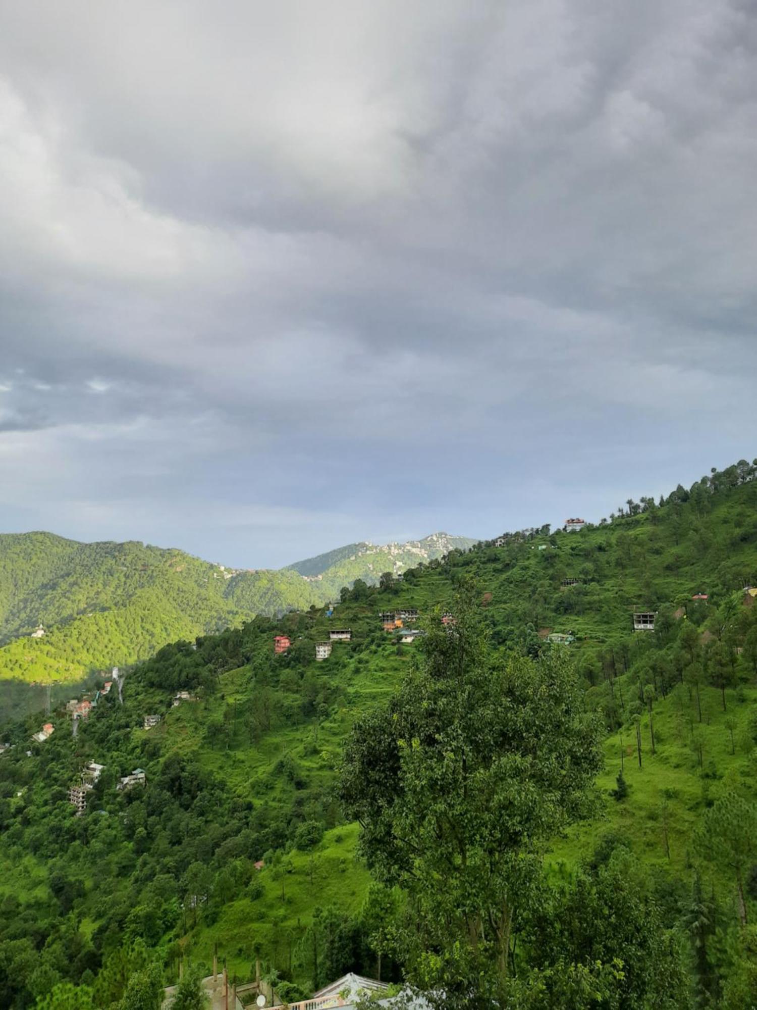 Sejal Homestay Shimla Exterior foto