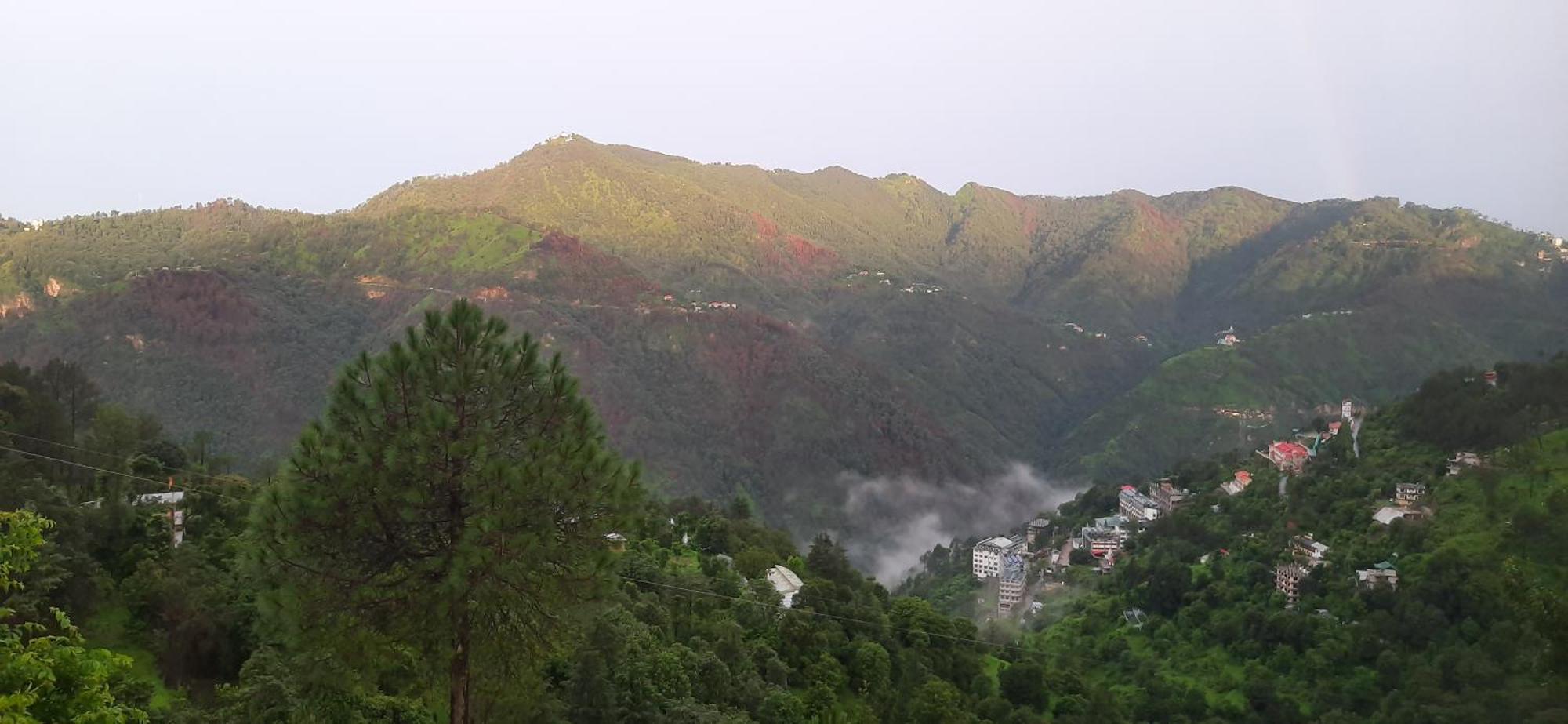 Sejal Homestay Shimla Exterior foto